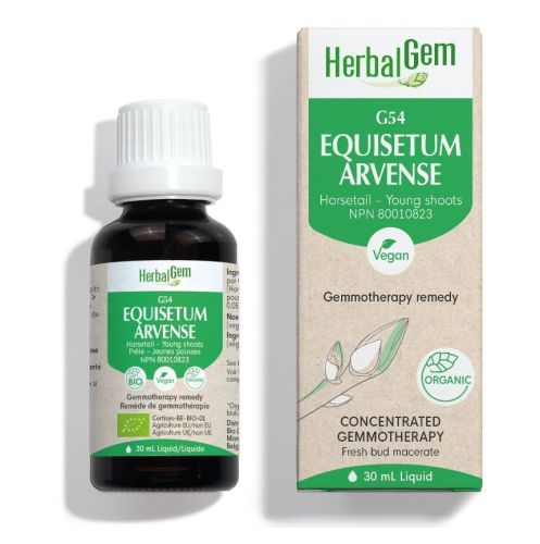 HerbalGem Equisetum Arvense (Horse Tail) G54, 30 ml