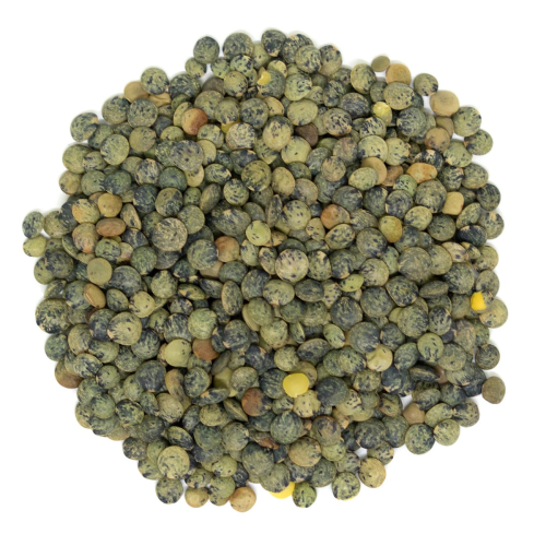 Westpoint Organic Lentil French Du Puy, 2 kg