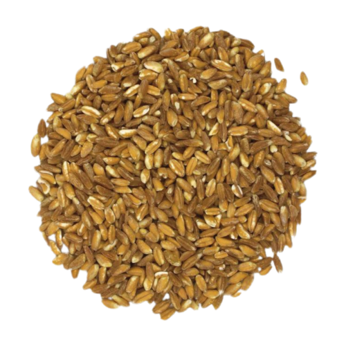 Westpoint Organic Farro (Emmer), 10 kg