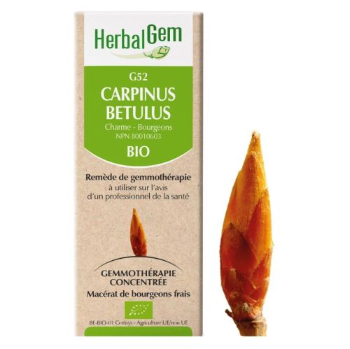 HerbalGem Carpinus Betulus (Hornbeam) G52, 50 ml