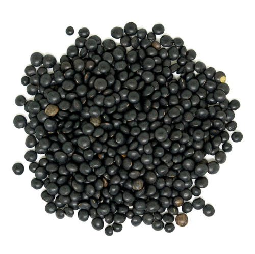 Westpoint Organic Black Beluga Lentil, 11.3 kg