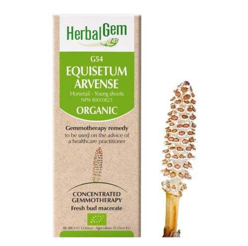 HerbalGem Equisetum Arvense (Horse Tail) G54, 50 ml