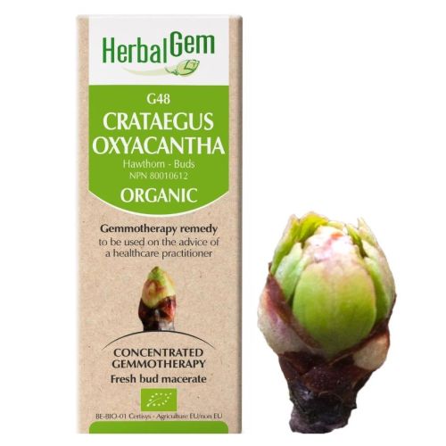 HerbalGem Crataegus Oxyacantha (Hawthorn) G48, 15 ml