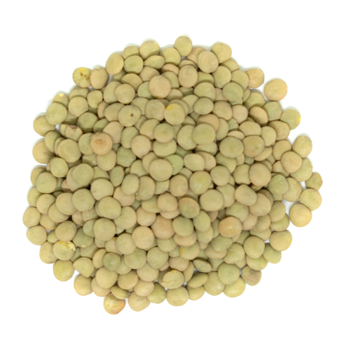 Westpoint Organic Green Lentil Whole, 11.34 kg