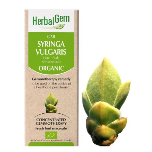 HerbalGem Syringa Vulgaris (Lilac) G58, 50 ml