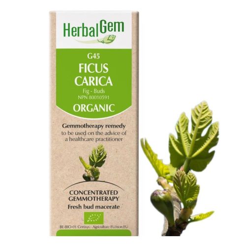 HerbalGem Ficus Carica (Fig) G45, 15 ml