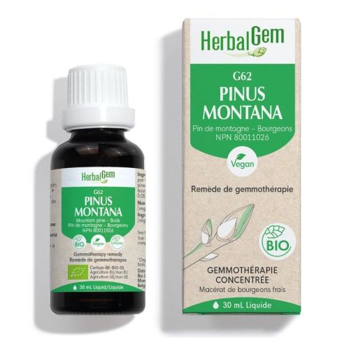 HerbalGem Pinus Montana (Mountain Pine) G62, 30 ml