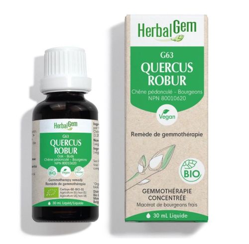 HerbalGem Quercus Robur (Oak) G63, 30 ml