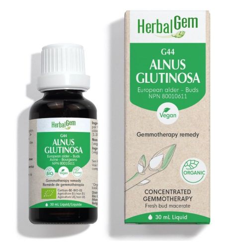 HerbalGem Alnus Glutinosa (European Alder) G44, 30 ml