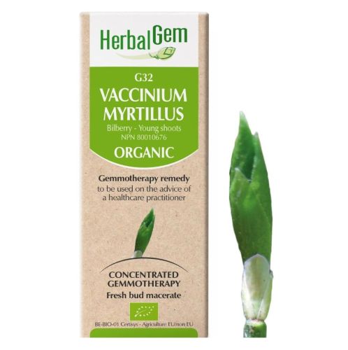 HerbalGem Vaccinium Myrtillus (Bilberry) G32, 15 ml