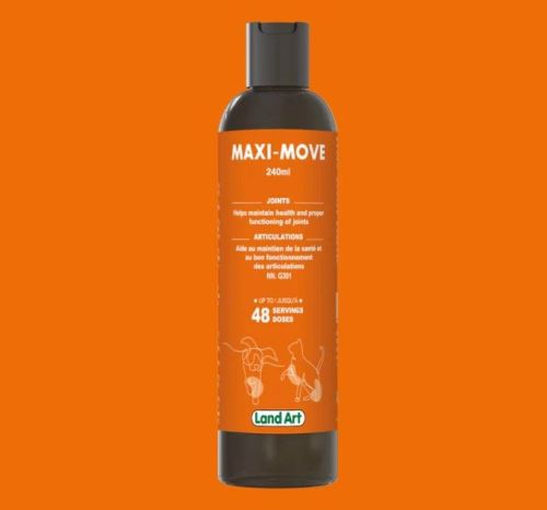 Land Art Maxi-Move, 240ml