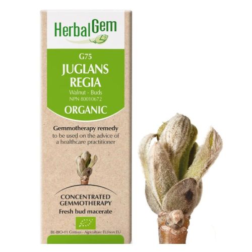 HerbalGem Juglans Regia (Walnut) G75, 15 ml