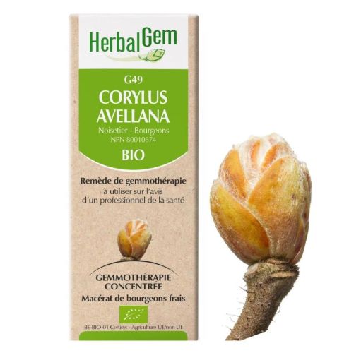 HerbalGem Corylus Avellana (Hazel) G49, 50 ml