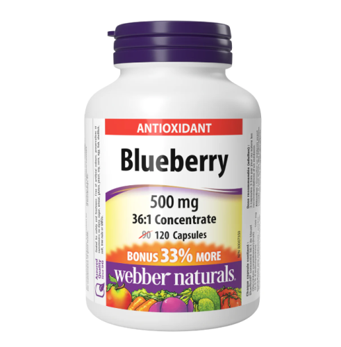 Webber Naturals Blueberry 500mg, 90+30 Caps 