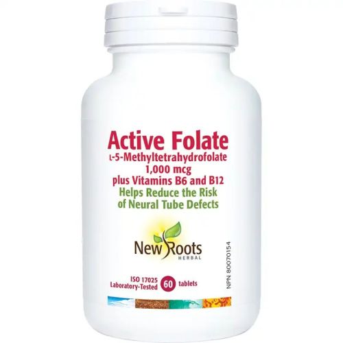2038 NRH - Active Folic Acid 60t EN