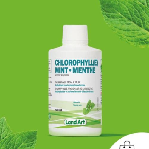621141001017 Land Art Chlorophyll Mint