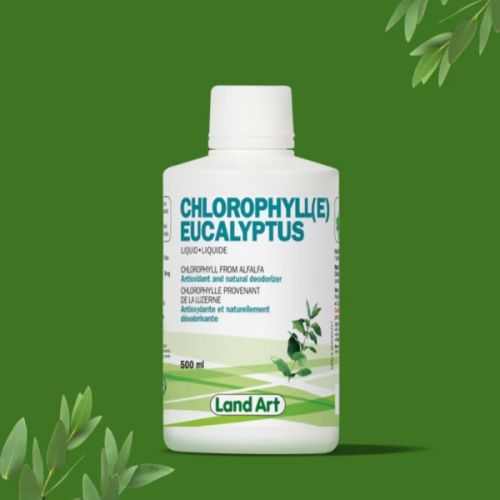 621141001024 Land Art Chlorophyll Eucalyptus