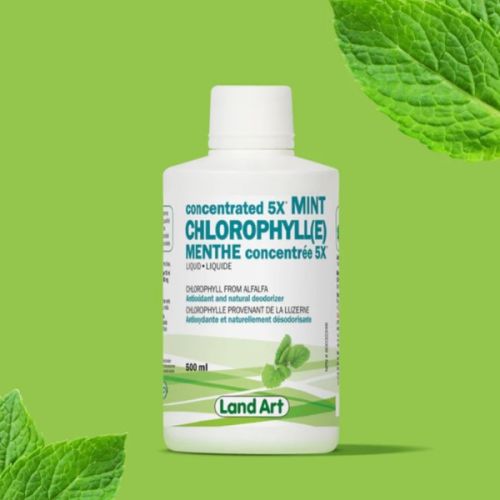 621141001819 Land Art Chlorophyll(e) Conc. 5X Mint