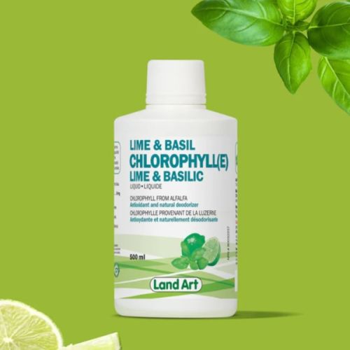 621141001949 Land Art Chlorophyll(e) Basil-Lime
