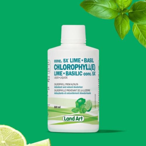 621141001956 Land Art Chlorophyll(e) Conc. 5X Basil-Lime