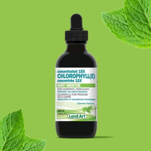 621141002137 Land Art Chlorophyll Concentrated 15X Mint
