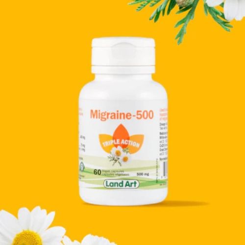 621141003097 Land Art Migraine 500