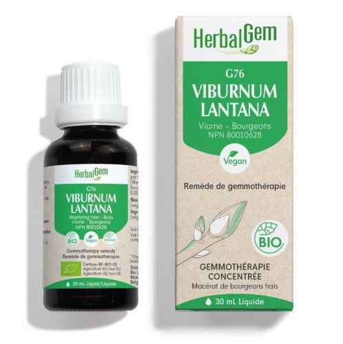 HerbalGem Viburnum Lantana (Wayfaring-tree) G76, 30 ml