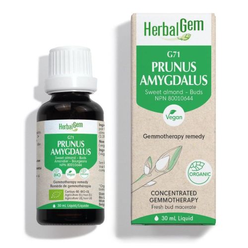 HerbalGem Prunus Amygdalus (Sweet Almond) G71, 30 ml