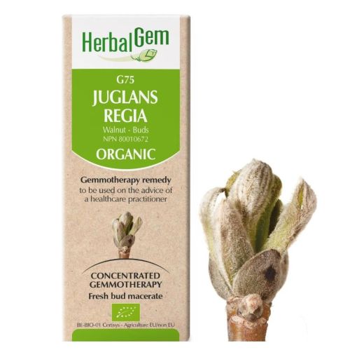  HerbalGem Juglans Regia (Walnut) G75, 50 ml