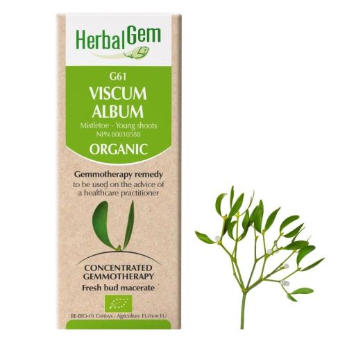 HerbalGem Viscum Album (Mistletoe) G61, 15 ml