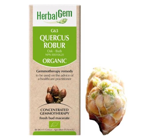 HerbalGem Quercus Robur (Oak) G63, 50 ml