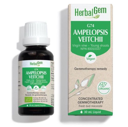 HerbalGem Ampelopsis Veitchii (Virgin Vine) G74, 30 ml