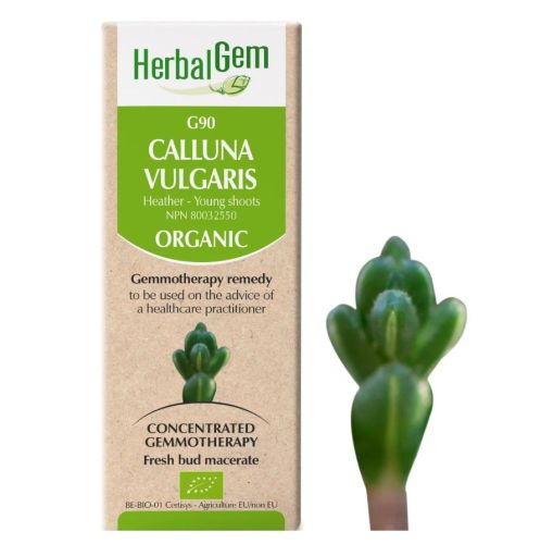 HerbalGem Calluna Vulgaris (Heather) G90, 30 ml