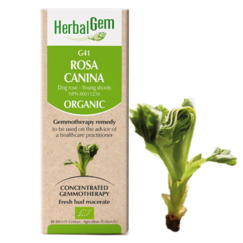 HerbalGem Rosa canina | G41 - 15 ml