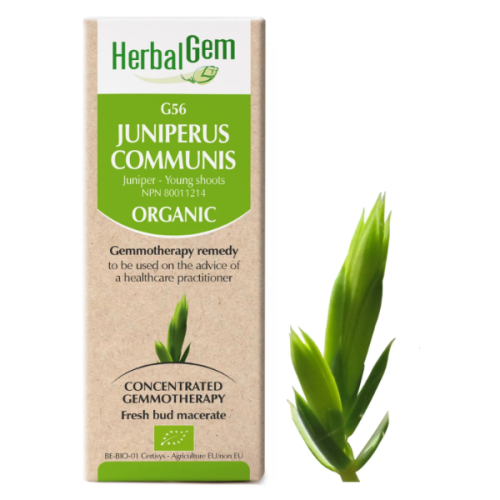 HerbalGem Juniperus communis | G56 - 15 ml