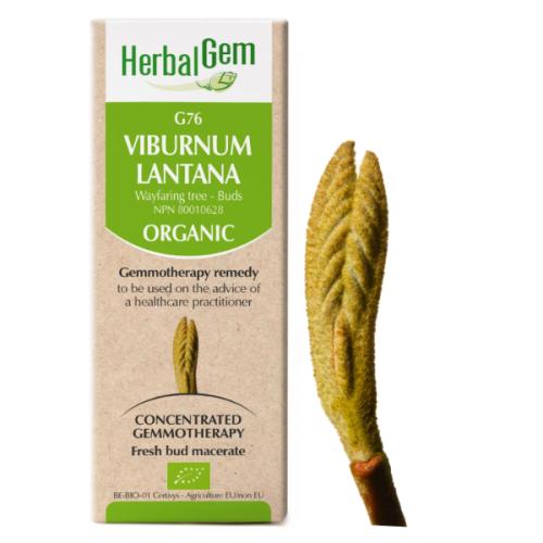HerbalGem Viburnum lantana | G76 - 50 ml