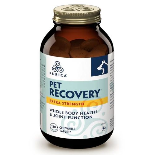 PURICA Pet Recovery Extra Strength, 120 Chewables