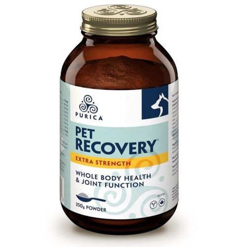PURICA Pet Recovery Extra Strength (350g) Powder