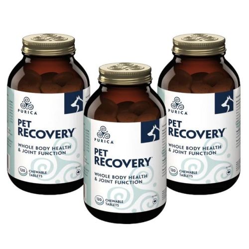 PURICA Pet Recovery, 360 Chews